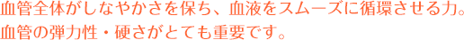 血管全体がしなやかさを保ち、血液をスムーズに循環させる力。血管の弾力性・硬さがとても重要です。